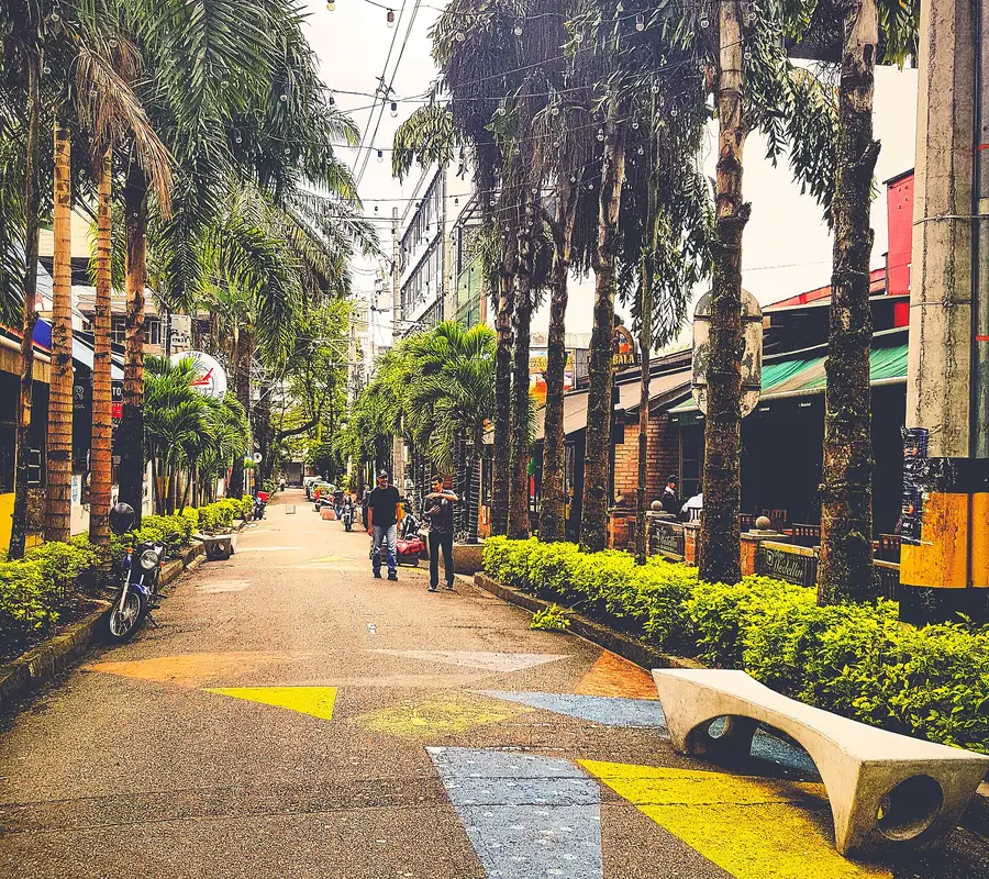 Calle de El Poblado bordeada de palmeras, Medellín